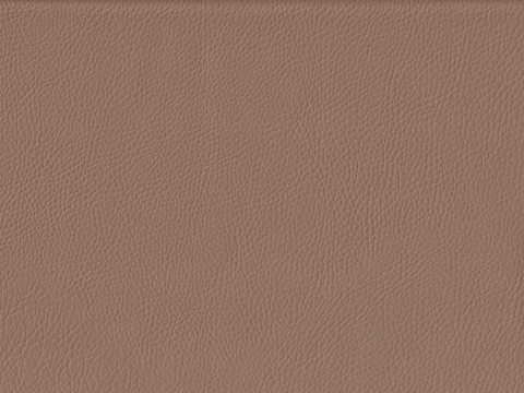 Light brown textured leather