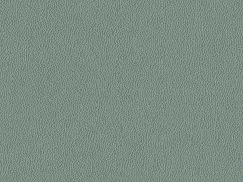 light green textured leather