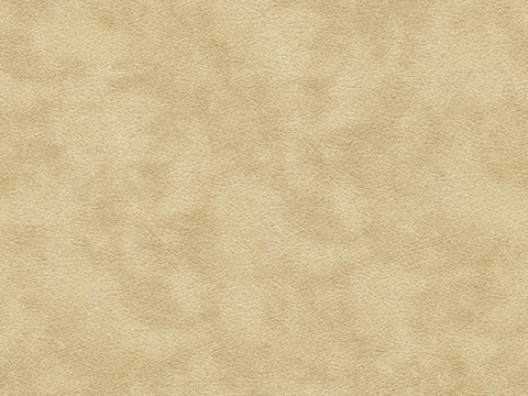 Beige textured leather