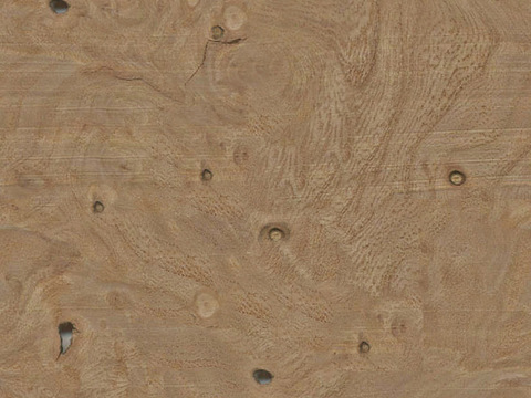 Seamless wood veneer panels