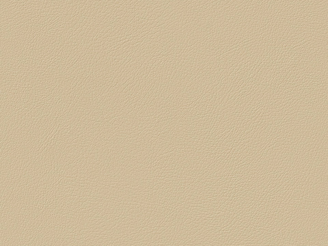 Warm Yellow Fine Grain Leather