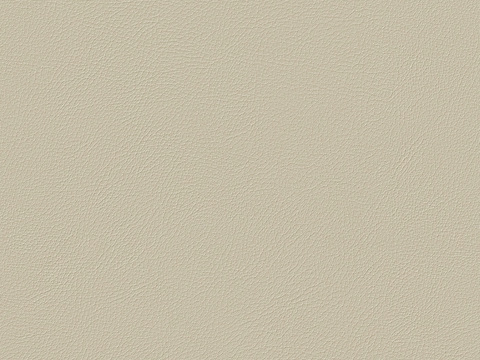 Beige Fine-grain Leather