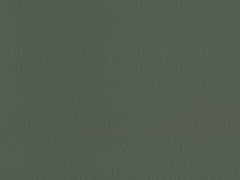 gray-green fine grain leather