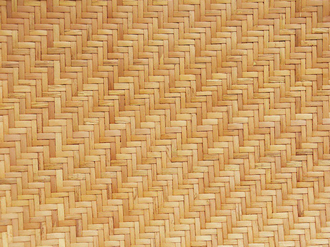 Modern Bamboo Pattern