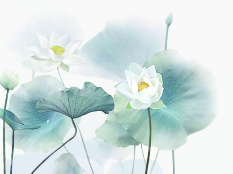 New Chinese flower and bird mural wallpaper