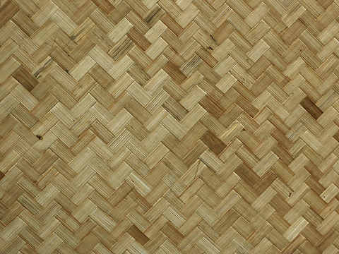 Modern Bamboo Pattern