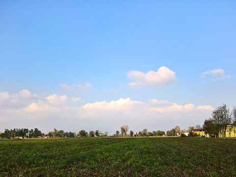 Rural landscape landscape