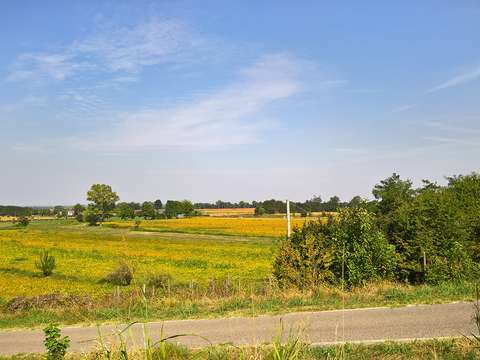 Rural landscape landscape