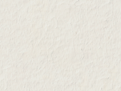 White Texture Paint Wall Coating