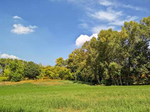 Rural landscape landscape