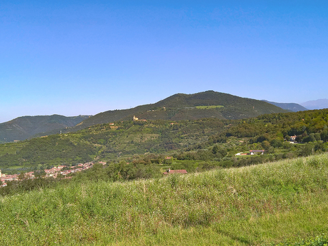 Rural landscape landscape