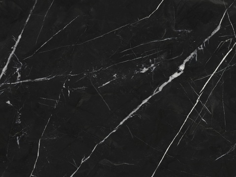 Seamless Black and White Root Marble Stone Rock Slab