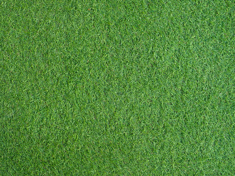 Modern green turf ground