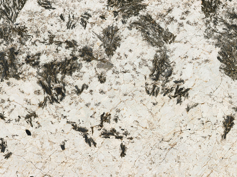 Snow Mountain Silver Fox Luxury Stone Marble