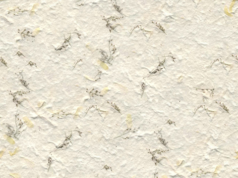 Seamless latex paint, texture paint, micro-cement, interior wall paint