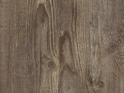 Grey oak wood veneer