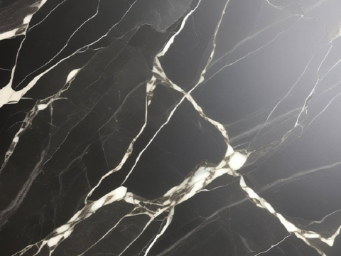 Black and White Root Light Luxury Marble Rock Slab