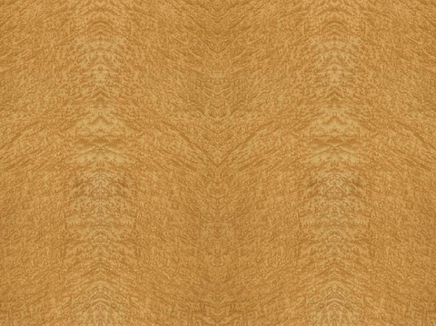 golden nanmu wood grain