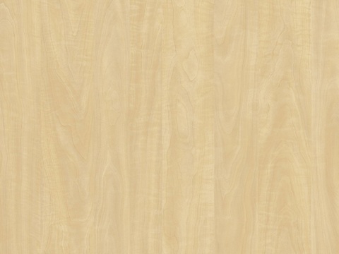 Teak Wood Grain