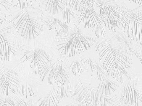 white gray wallpaper