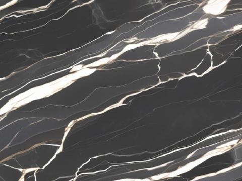 Black and White Root Light Luxury Marble