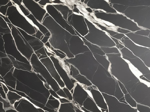 Black and White Root Light Luxury Marble Rock Slab