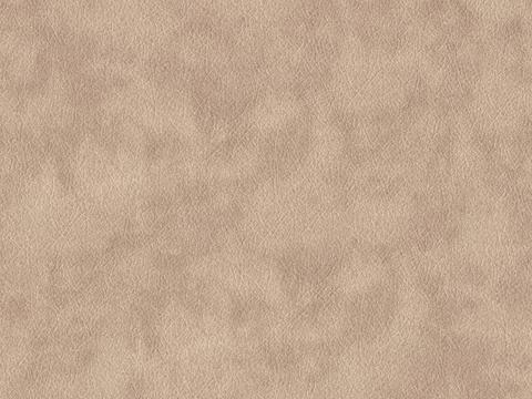 Light brown fine grain leather