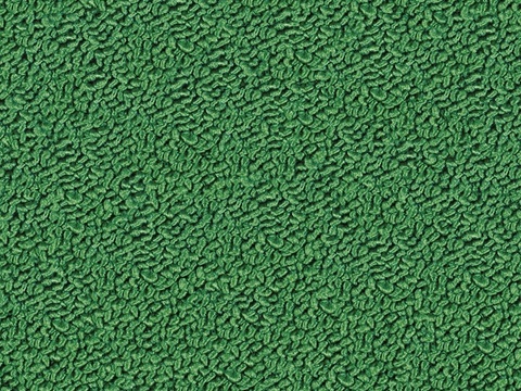 green plush carpet