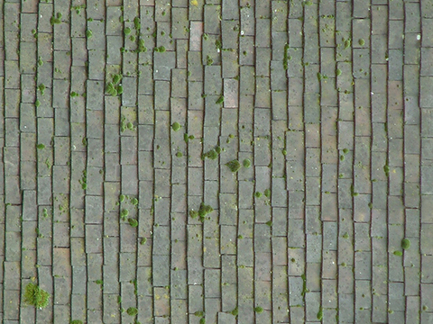 Seamless grass brick cement brick water permeable brick grass brick