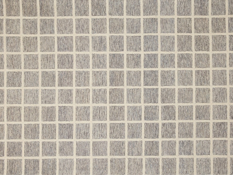 Modern Carpet Simple Carpet