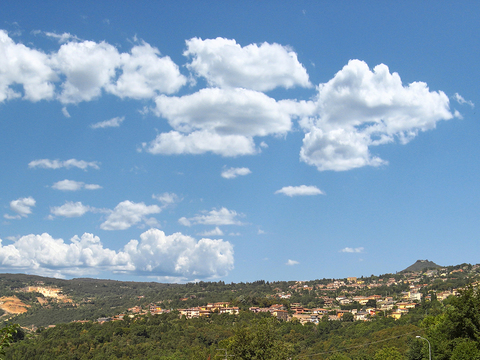 Rural landscape landscape