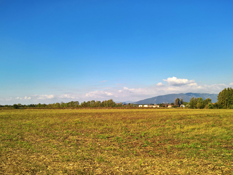 Rural landscape landscape