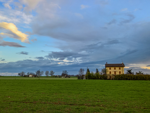 Rural landscape landscape