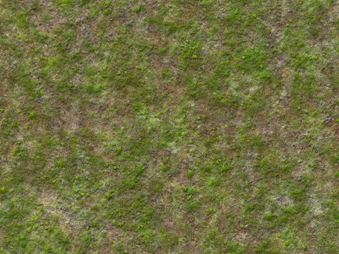 Seamless Garden Courtyard Grass