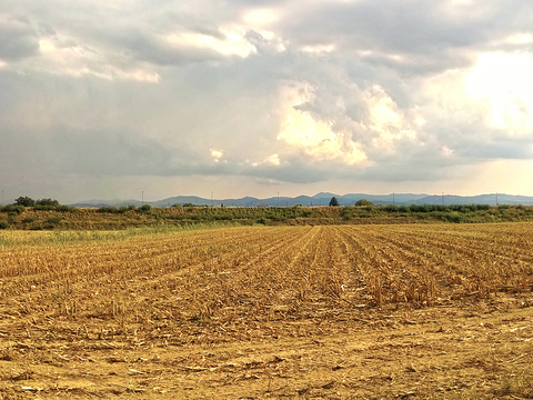 Rural landscape landscape