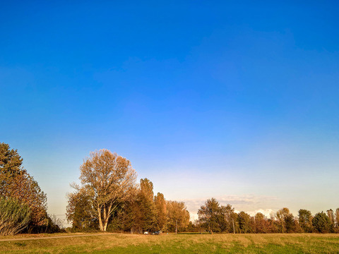 Rural landscape landscape