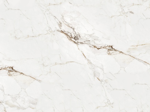 seamless fish maw gold rock plate white marble