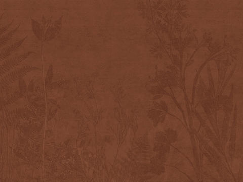 Brown plant wallpaper