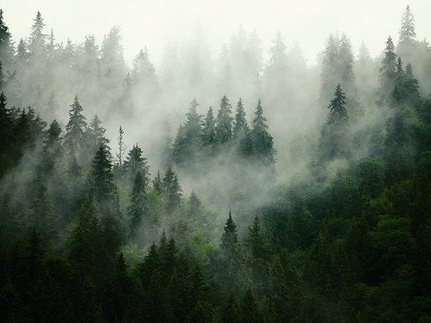 Cloud Forest Exterior_Landscape Landscape Chinese Exterior_Mountain Cloud Exterior