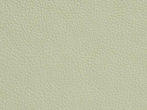 light yellow green textured leather