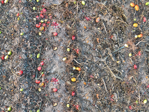 Seamless sandy soil road ground