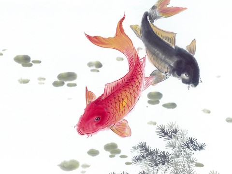 New Chinese Goldfish Mural