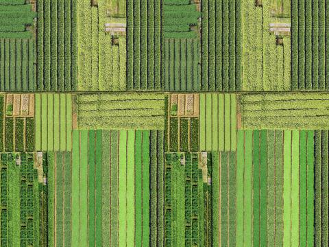 High-definition farmland terrace bird's eye view surrounding ground field grassland satellite map