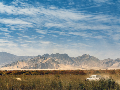 Scenery map of Qinghai Siegel wood