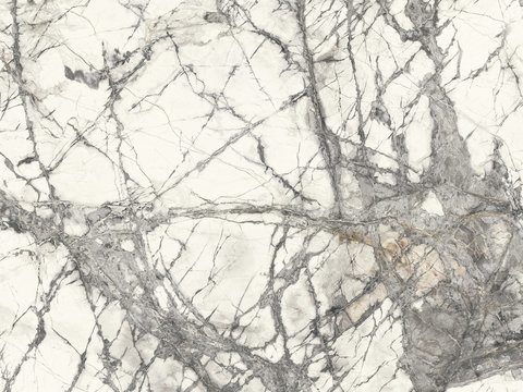 Hanjiang Snow Super Clear Marble Stone Rock Slab