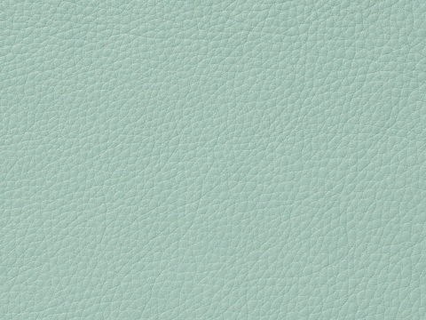 light green textured leather