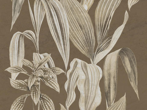 Brown plant wallpaper