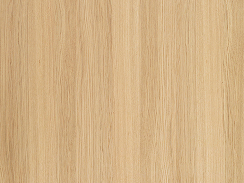 Maple wood grain