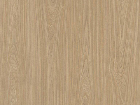 Teak Wood Grain