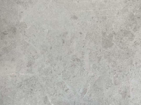 Platinum light gray marble